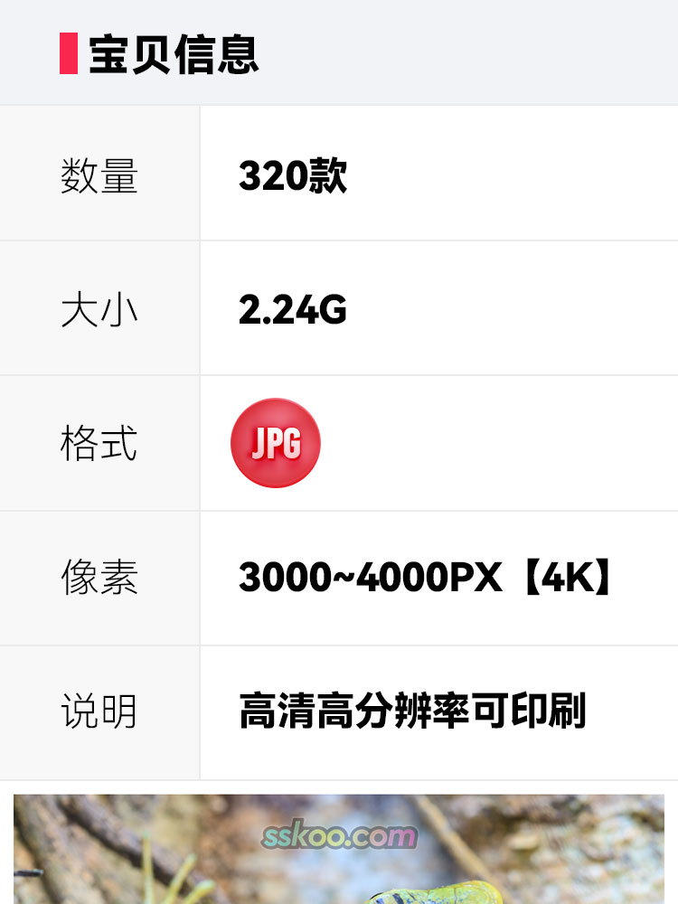小鹿梅花鹿长颈鹿驯鹿麋鹿角保护动物栖息地摄影高清照片图片素材插图1