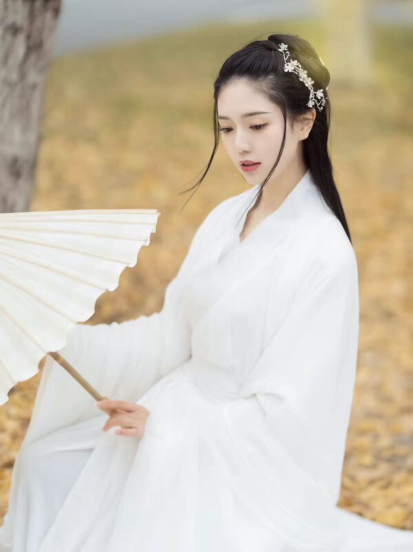 Martial Arts Costume, Traditional Chinese Clothing for Women, Ancient Style, Elegant and Fairy-Like, Wei and Jin Dynasty Style, Chinese Style, Super Fairy-Like, Waist-Length Skirt, Large-Sleeved Shirt