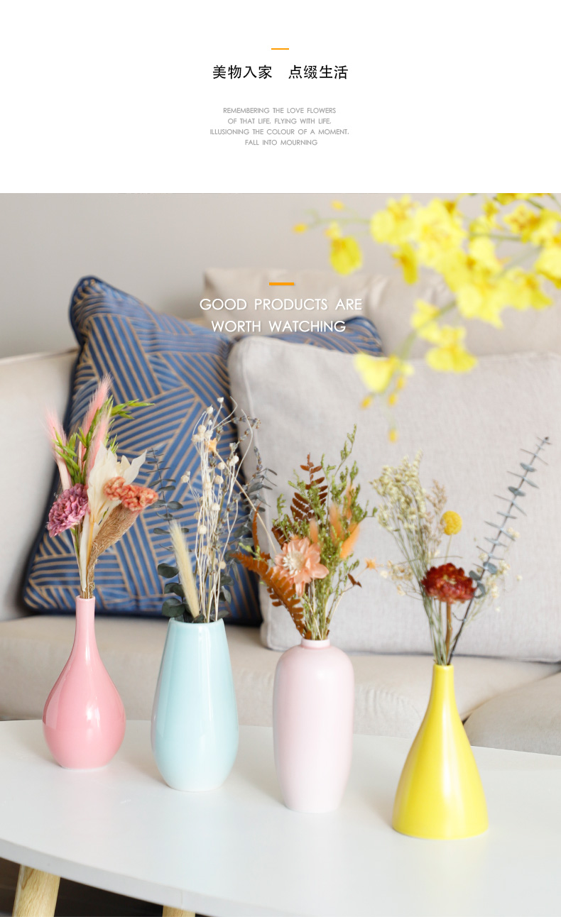 Modern small pure and fresh and creative home decoration dry vase Nordic furnishing articles, ikebana ceramic floret bottle contracted sitting room