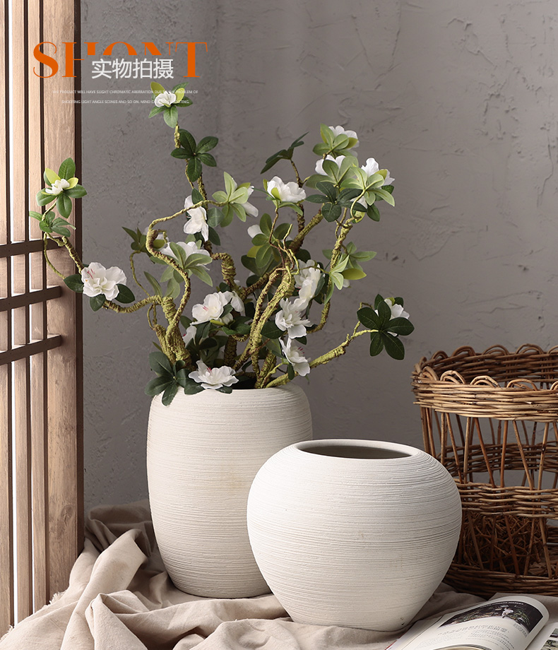 Dried flower vase coarse pottery flowerpot checking ceramic I and contracted hydroponic fleshy Nordic white sitting room place, arranging flowers