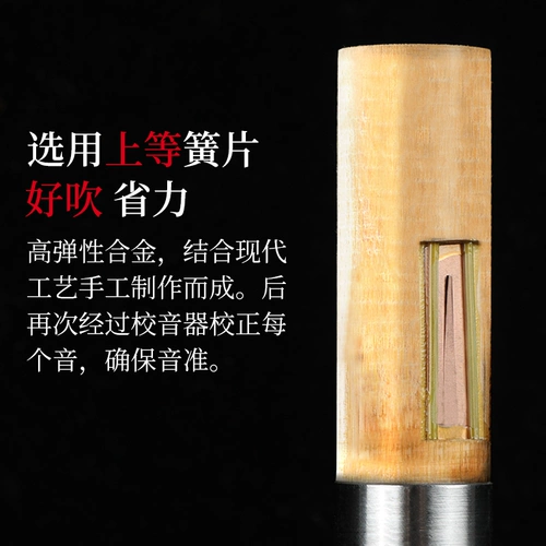 正音堂 Профессиональная двойная корректировка Hulusi C DOWN B DFG Profession