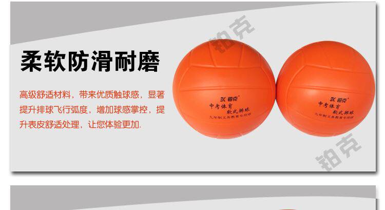 Ballon de volley-ball - Ref 2013176 Image 15
