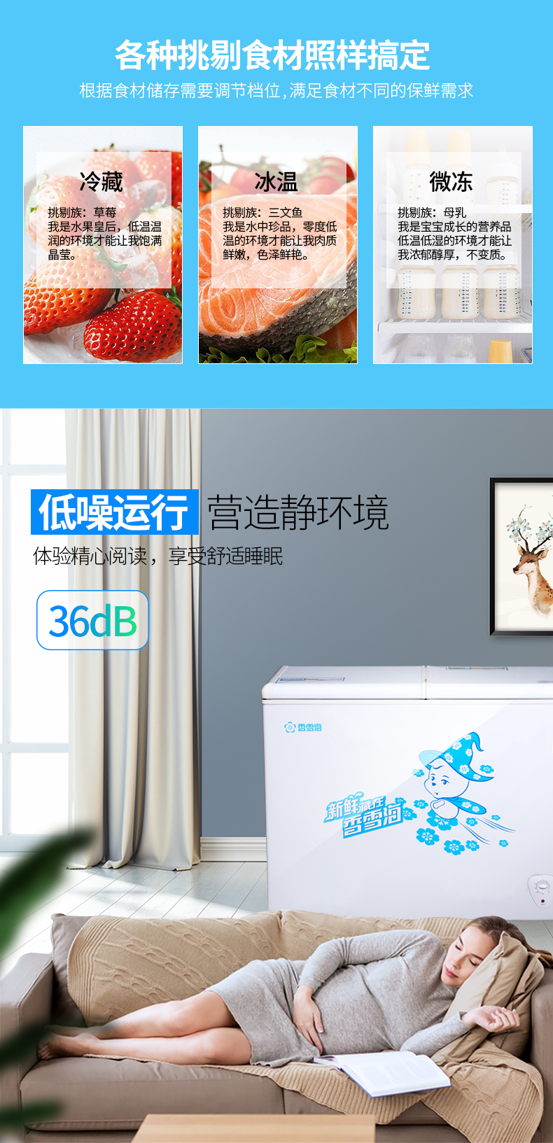 Tủ đông lạnh ngang SNOWSEA / 海 BD / BC-218JA - Tủ đông tủ đông inox sanaky