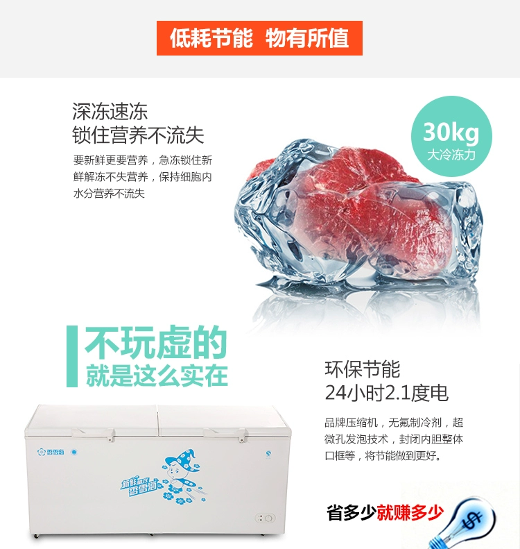 Tủ đông lạnh công suất lớn SNOWSEA / Xiangxuehai BD / BC-618A - Tủ đông