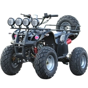 Bulls ATV 125cc xe đạp địa hình địa hình xe máy bốn bánh xe mô tô địa hình - Xe đạp quad