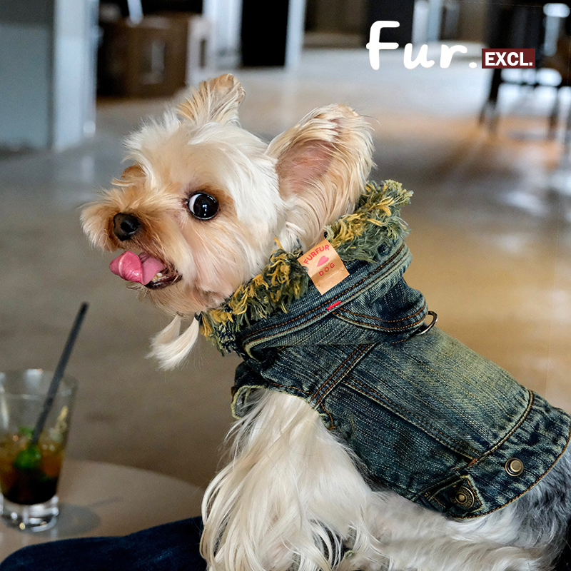 Furfur Weekend Puppy Denim Vest Spring and Autumn Hooded Sleeveless Washed Vintage Style Leash for Small Dogs Yorkshire Terrier