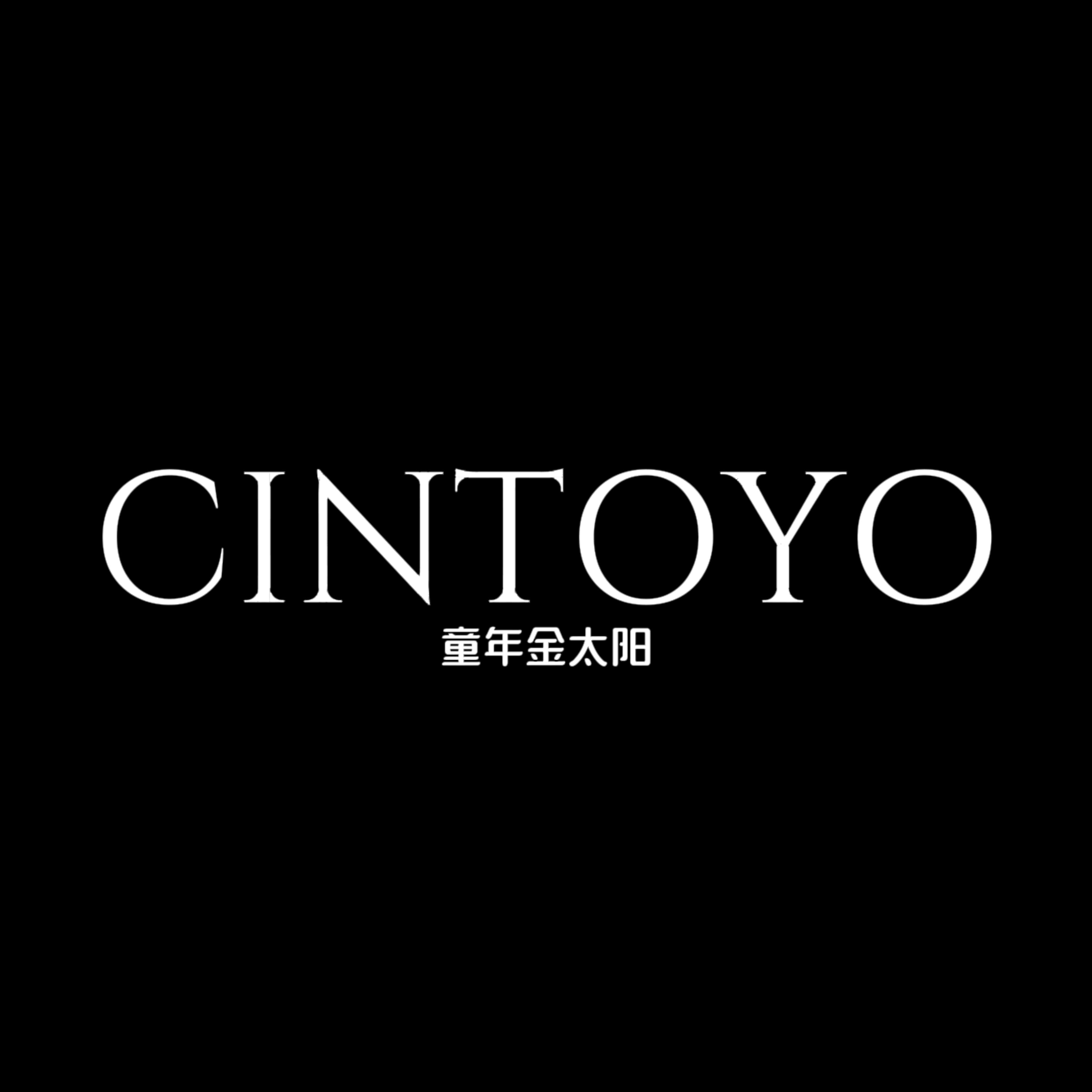 童年金太阳 CINTOYO