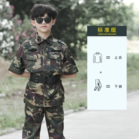 Camouflage 711 с короткими рукавами (вверху + нижние брюки)