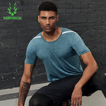 Fitness clothing mens spring and summer outdoor basketball tights short sleeves T training suits breathable sweat-absorbing sports long sleeve tops