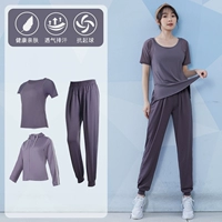 Серо -пурпурный трехлетний набор TC37514