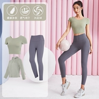 Bud Green+серо -пурпурный трехлетний TC38051