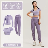 Три -купая пурпурная трехлетняя TC59051