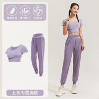 Два фиолетовых два -части TC59048