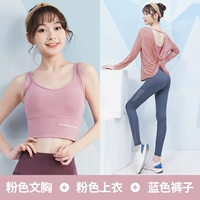 [Длинное рукав] розовый+синий три -купюр TC12270