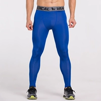 Cailan Blue Line MBF073