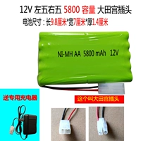 Sky Blue 12V 5800 Omuta Palace