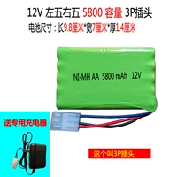Peacock Blue 12V 3P Plug 5800