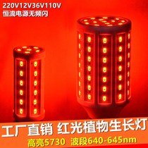 Shangke super bright LED Red Light corn lantern bulb red pork energy-saving lamp plant light E27E14 screw B22