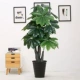 Lớn phòng khách sàn giả cây phong phú cây cảnh trang trí mô phỏng thực vật trang trí trong nhà cây xanh giả hoa trang trí chậu - Trang trí nội thất