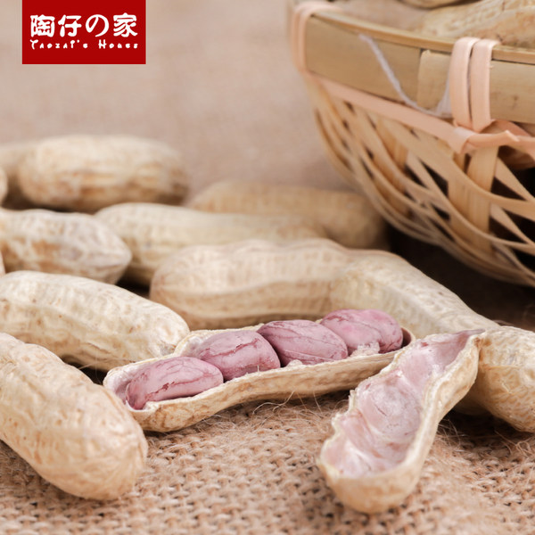 陶仔の家 龙岩红皮水煮花生 454g*2包 天猫优惠券折后￥19.88包邮（￥22.88-3）