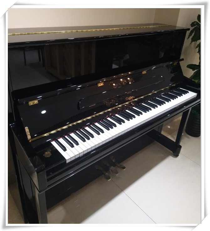 Giai điệu siêu ấm! Đàn piano nổi tiếng thế giới Anh Charlene nhập khẩu đàn piano dành cho người lớn đàn piano casio