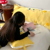 Сыр «сыр -это сила» -это артефакт с длинной подушкой на подушке на подушке с длинной квадратной подушкой и спящей подушкой