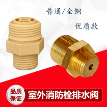 SS100 65 outdoor fire hydrant pressure relief valve exhaust valve drain valve ground and underground fire equipment accessories