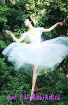  Tutu Adult ballet dance skirt Gauze skirt White puffy Swan Lake professional gymnastics performance performance competition suit