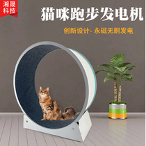 Kitty Mini Dog Running Generator Permanent Magnet Power Generation Roller Solid Pet Sports Fitness Toy USB Charging