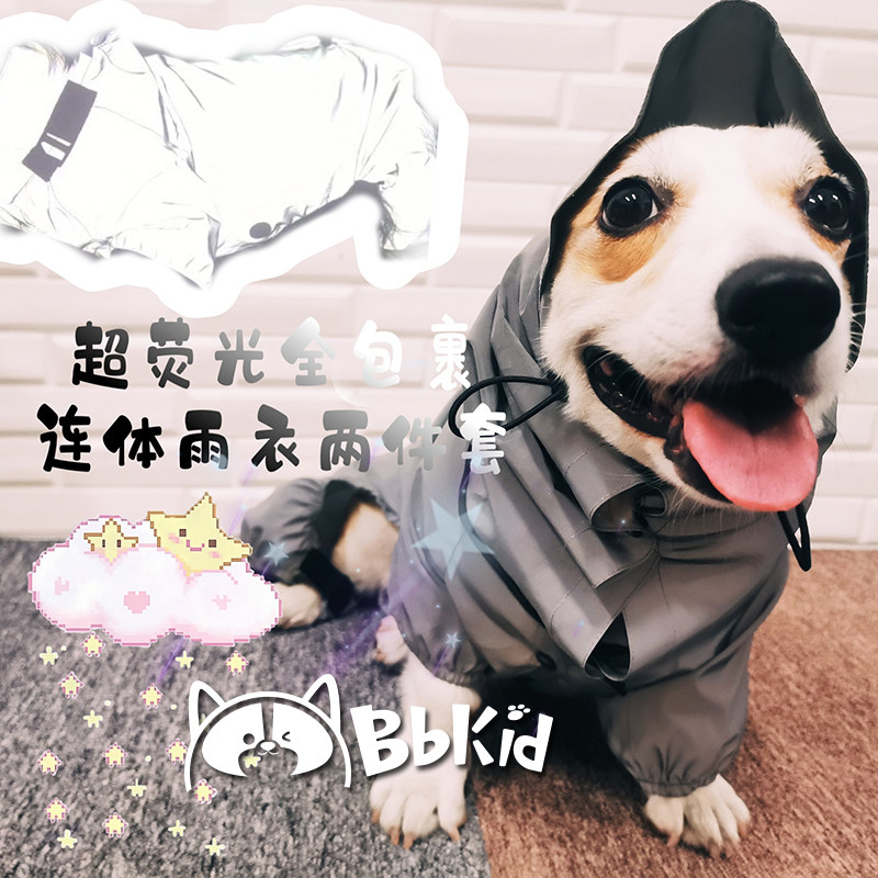 The brightest cub in the night sky of the little B cub with a detachable mirror and a raincoat raincoat with raincoat