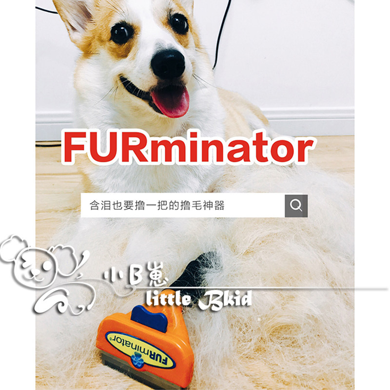With tears in my eyes, I also want to pick up an American FURminator comb, Fumei Nate Corgi Limited Edition Hair Removal Pet Comb