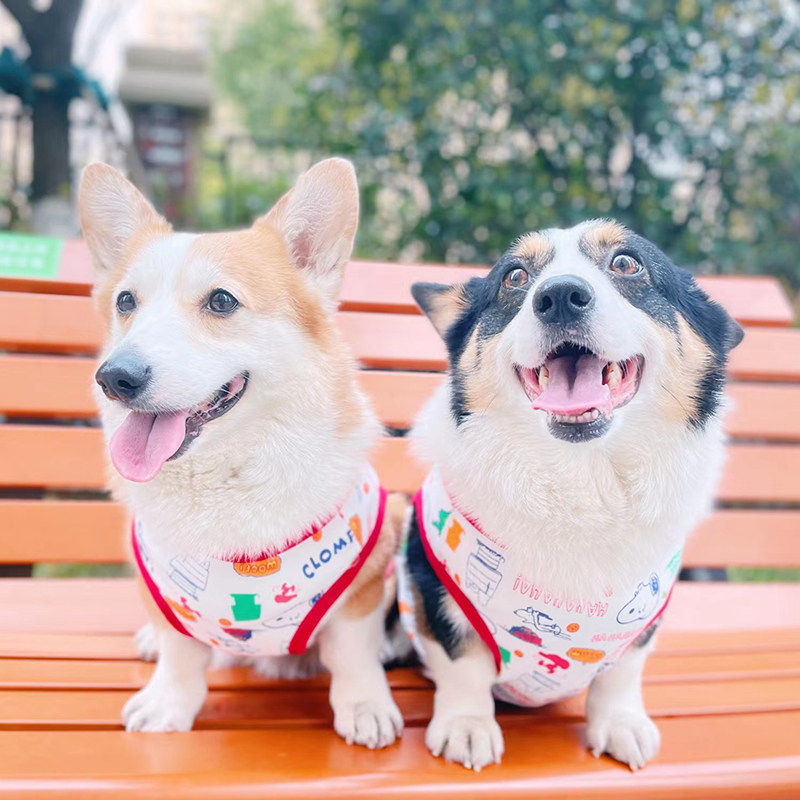 Small B pup limited summer new pet dog pure cotton vest good elastic fat dog Kokki diesel cartoon T-shirt