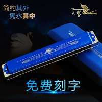 Swan Harmonica 24 lỗ chuyên nghiệp đa âm điệu mới bắt đầu c trò chơi thực hành chữ miễn phí chơi nhạc cụ hòa tấu - Nhạc cụ phương Tây kèn saxofon