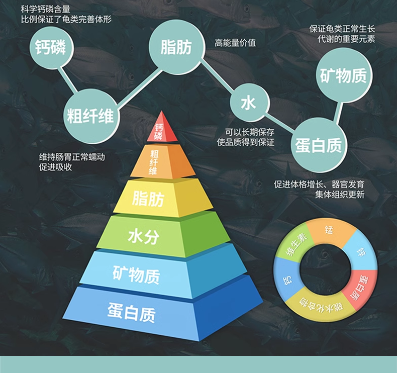 Подробная информация о Lifeline Half-Water Turtle Food_17.png