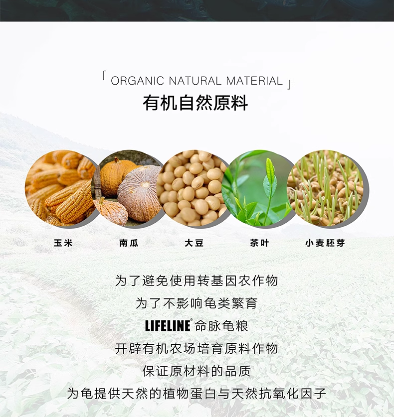 Подробная информация о Lifeline Half-Water Turtle Food_12.png