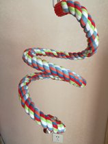 Pet supplies parrot supplies bird toys gray machine Sunflower Diamond bite toys Wood