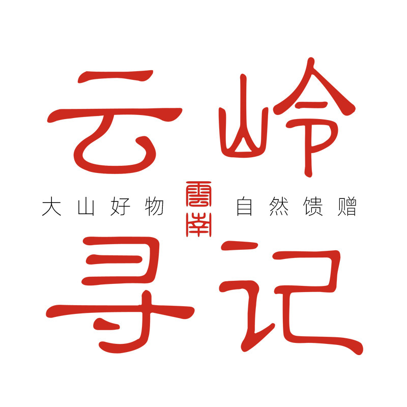 云岭寻记