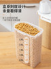 Rice Bucket for Home Use, Rice Container, Rice Box, Insect-Proof, Moisture-Proof, Sealed, Flour, Cat Food, Grain Storage Box, Storage Bucket