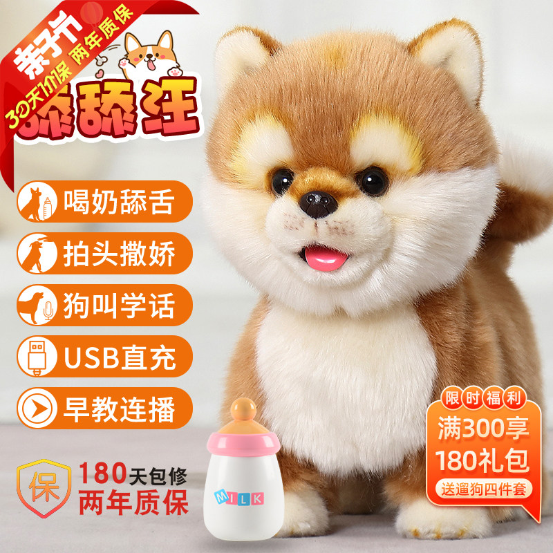 Comet licks the Wang Toy Dog Walking Will Call Akita Children's Electric Dog Pet Simulation Puppy