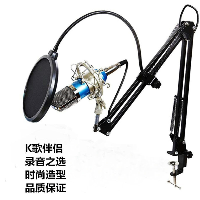 BM700 ラージダイアフラムコンデンサーマイク（オンラインカラオケ、MC、ストリーミング、コンピューター録音、放送用）（外部サウンドカードマイク）