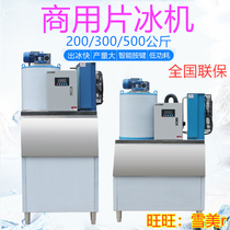 Commercial ice maker 200 300kg500kg supermarket slices seafood buffet hot pot restaurant ice machine size type