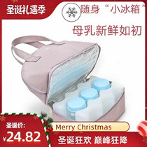 Heat-preserving and lightweight breast milk storage thickened detachable portable multi-purpose large-capacity double-layer breast pump storage bag