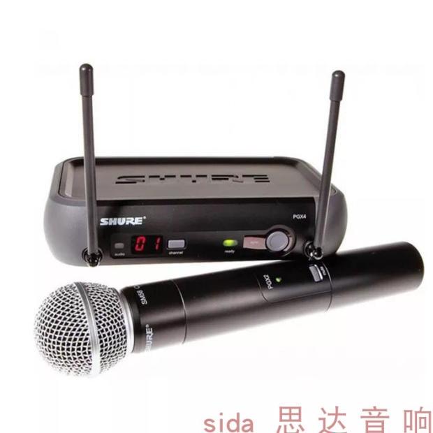 Shure Pgx24/Beta58/Sm58 Handheld Microphone Belt Pack Headset Stage Wireless Microphone