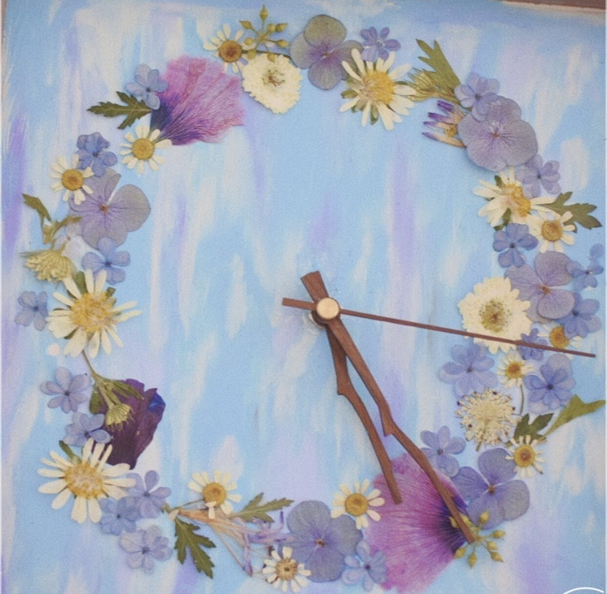 花里时光