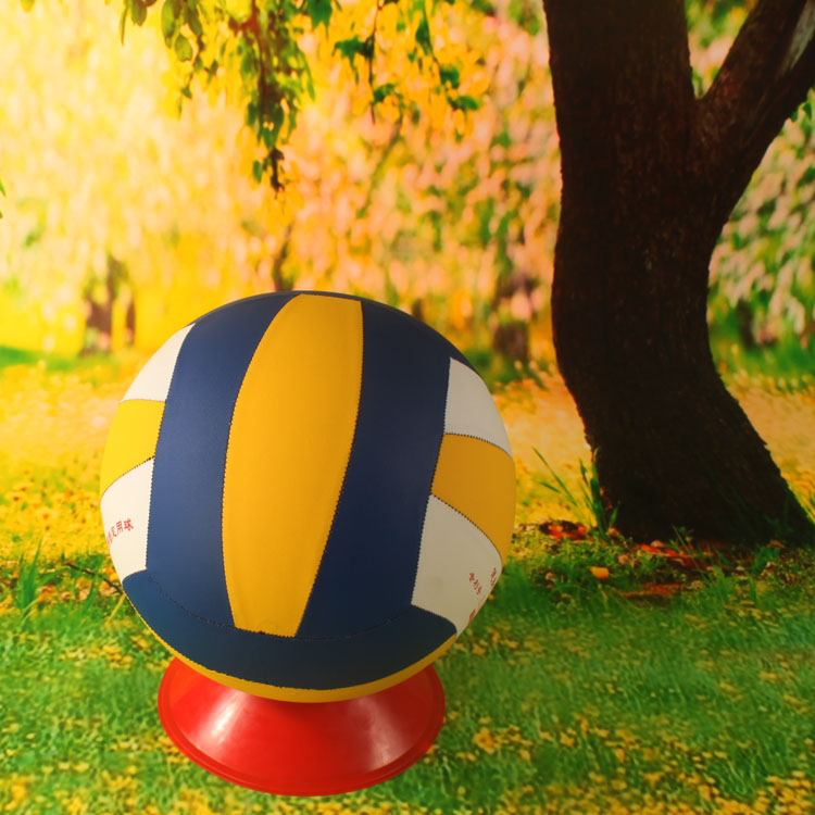 Ballon de volley-ball - Ref 2010361 Image 13