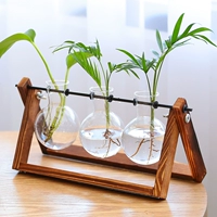 Три бутылки в стиле ретро + Потос + Подокарпус + Карманный кокос