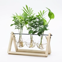 Три бутылки бревен (для растений)