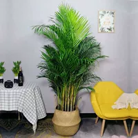 Подсолнух Sanwei 1,5-1,6 метра в горшке с бамбуковой корзинкой