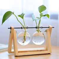 Бревенчатая двойная бутылка + Потос + Подокарпус + Карманный кокос