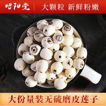 Authentic Hunan lotus seed dry goods 500g core Xiangtan white lotus seed no core non-wild Super with Lily